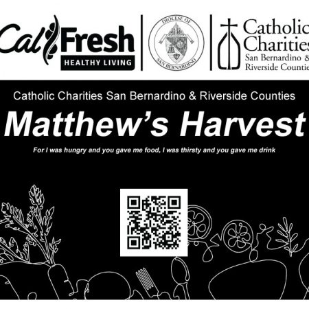 Matthews Harvest Food Box