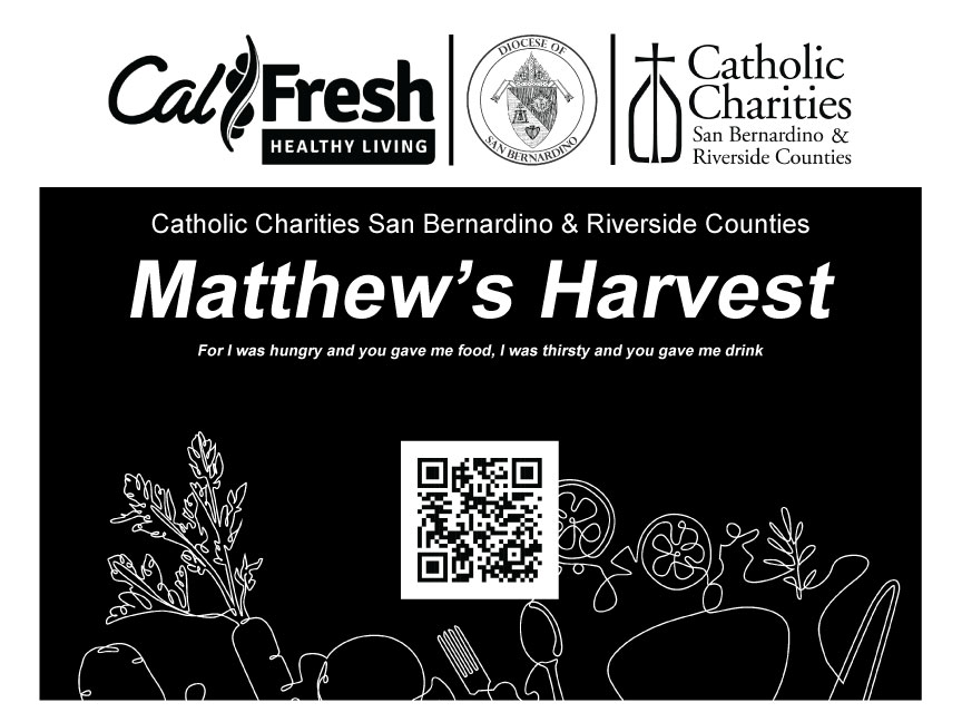 Matthews Harvest Food Box